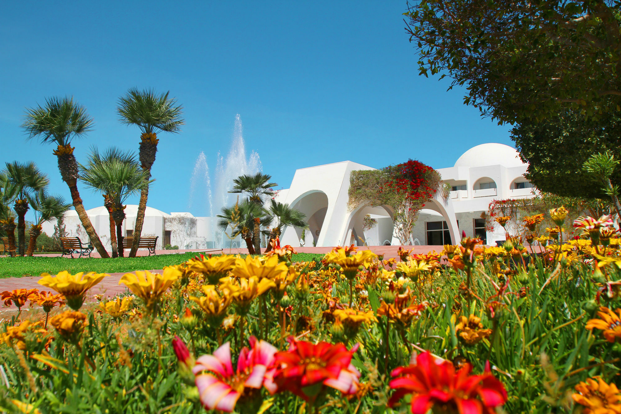 Djerba Plaza Thalasso & Spa 트리파 외부 사진